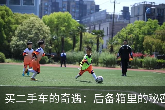 买二手车的奇遇：后备箱里的秘密