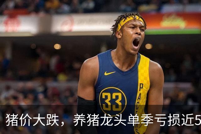 猪价大跌，养猪龙头单季亏损近50亿